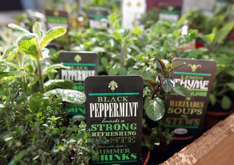 Granville Hotel, Waterford - Photo Gallery - 77