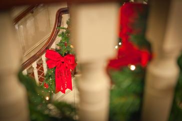 Let us Spoil you this Christmas 