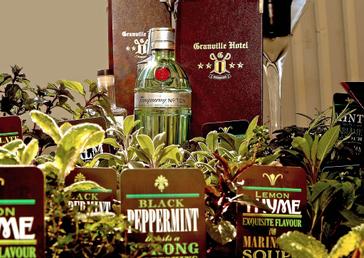 Granville Hotel | Waterford | Cocktail Herb Garden