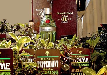 Granville Hotel | Waterford | Cocktail Herb Garden