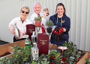 Granville Hotel | Waterford | Cocktail Herb Garden